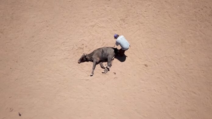 Los Martes en verano: cine salteño al aire libre