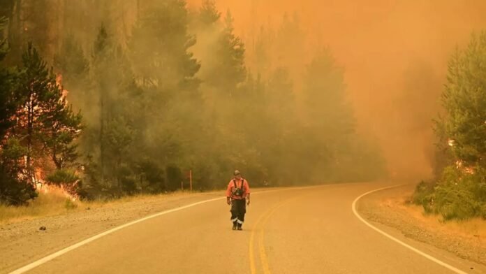 Incendios en Chubut: “Se está quemando nuestra historia… se quema nuestro bosque”