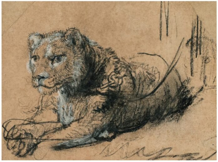 El dibujo de un león hecho por Rembrandt recauda en subasta 17,8 millones de dólares en Nueva York