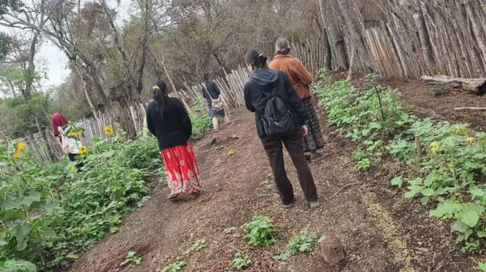Guardianas de la naturaleza: un diálogo necesario sobre ecofeminismo en Salta