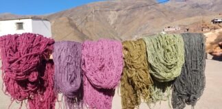 Continúa Legado Artesanal, con tintes naturales en Payogasta