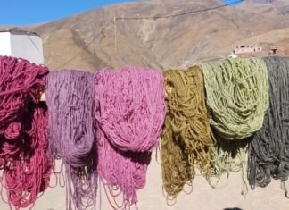 Continúa Legado Artesanal, con tintes naturales en Payogasta